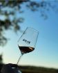Picture of Kadum Winery (Buići - Poreč)