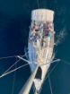 Picture of ⛵ Day Sailing Istria – Sailing from Trget